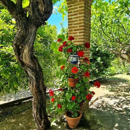En Con Piscina Y Un Maravilloso Jardin * Candeleda
