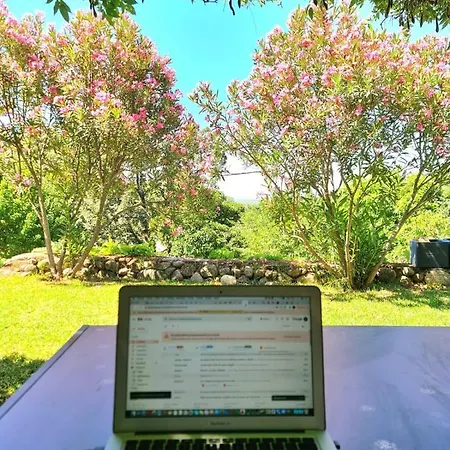 En Con Piscina Y Un Maravilloso Jardin *