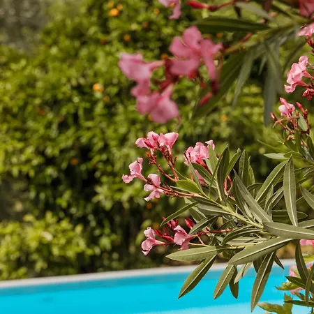 En Con Piscina Y Un Maravilloso Jardin Holiday home