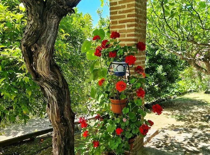 En Con Piscina Y Un Maravilloso Jardin * Candeleda