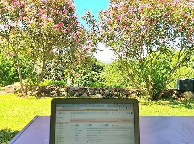 En Con Piscina Y Un Maravilloso Jardin *